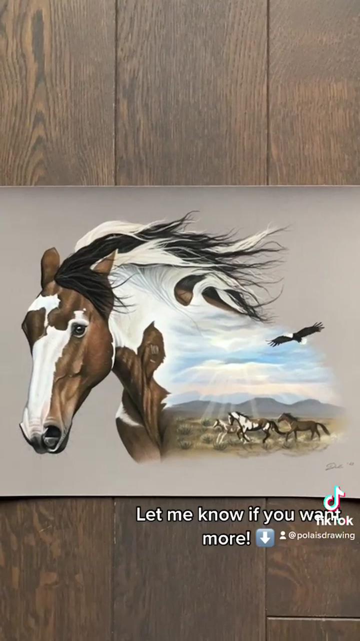 Picasso the wild mustang drawing | horse art drawing