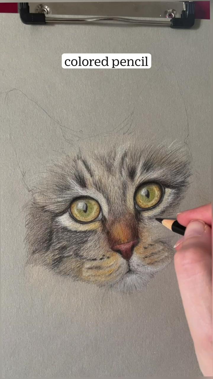 Realistic colored pencil cat portrait - first layer work in progress - drawing; caracal eye in pastel. #art