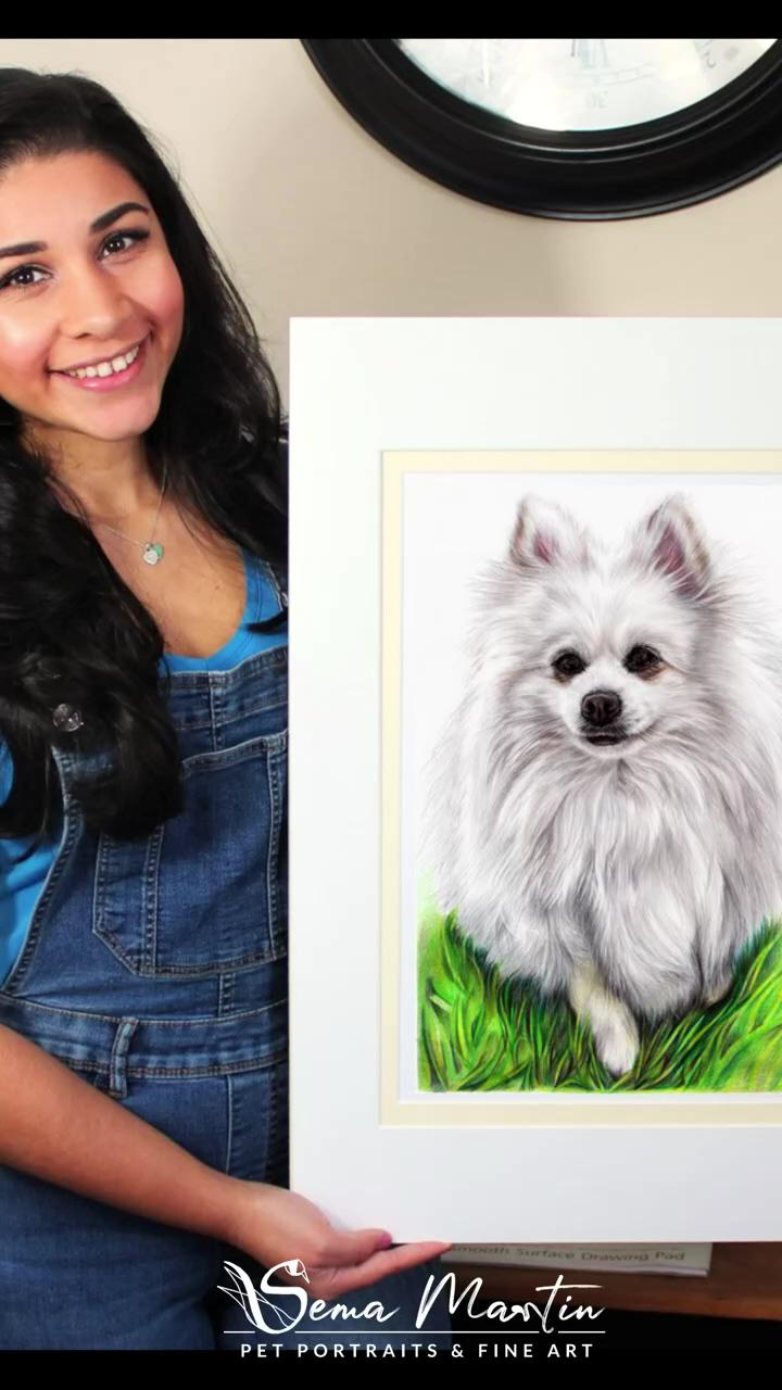Realistic drawing of a white dog in colored pencils, pet portrait | tequila and lime, oil painting demo