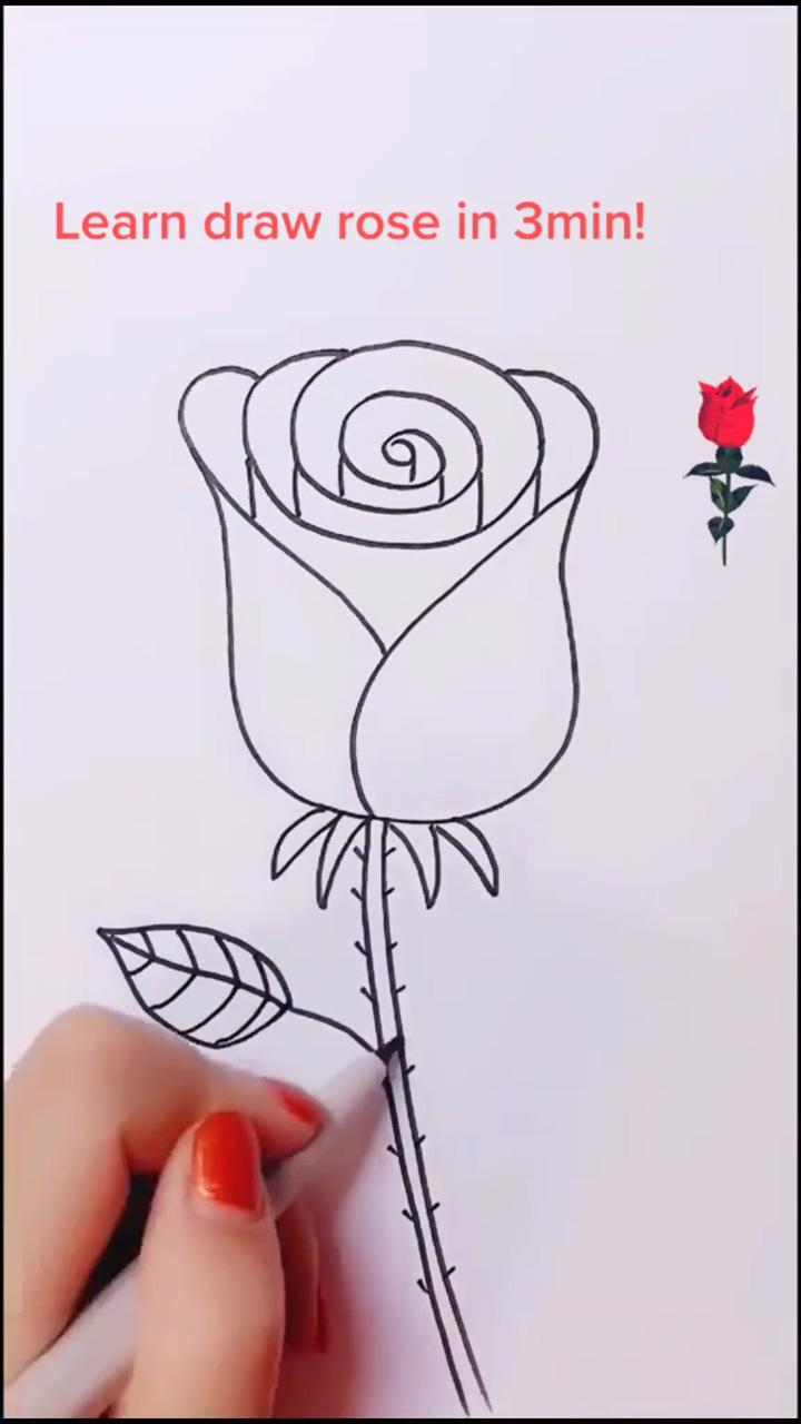 Rose drawing technique | cute easy drawings
