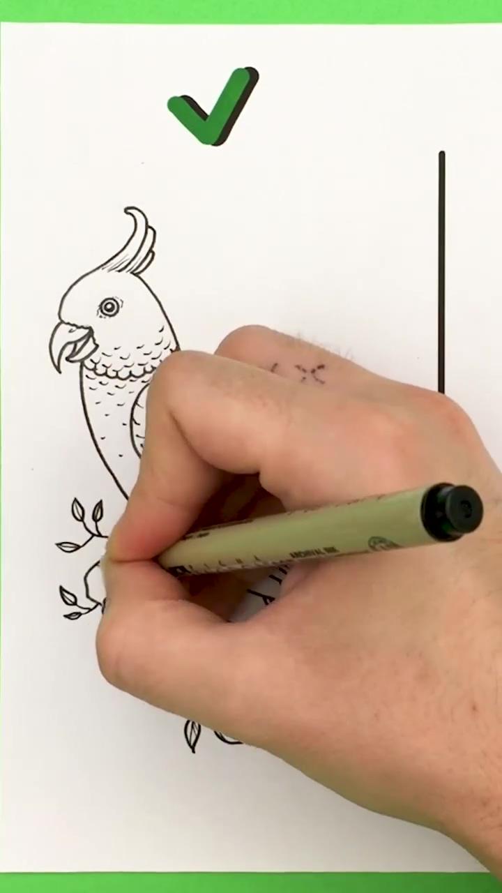 The best method to draw a cockatoo  | how to draw 3d floating number - easy