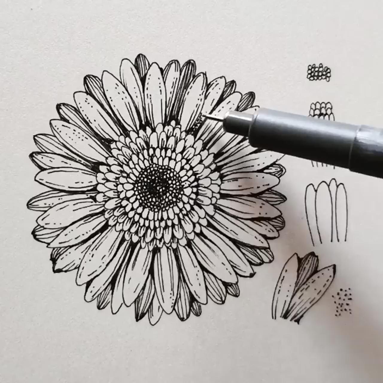Today's flower: gerbera, step by step credits: alicelovesdrawing | flower drawing tutorials