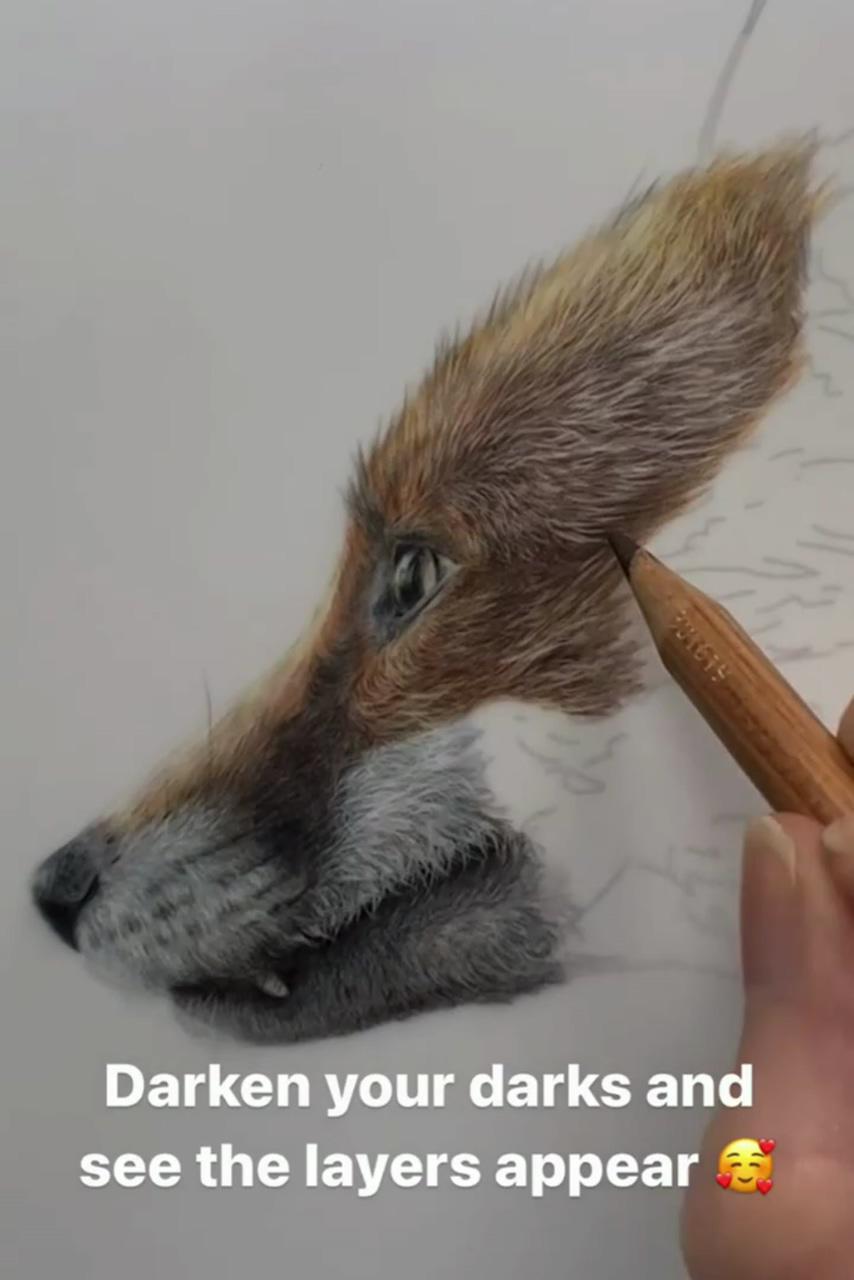 Using a slice tool, coloured pencil tips | draw black fur in coloured pencil, live draw