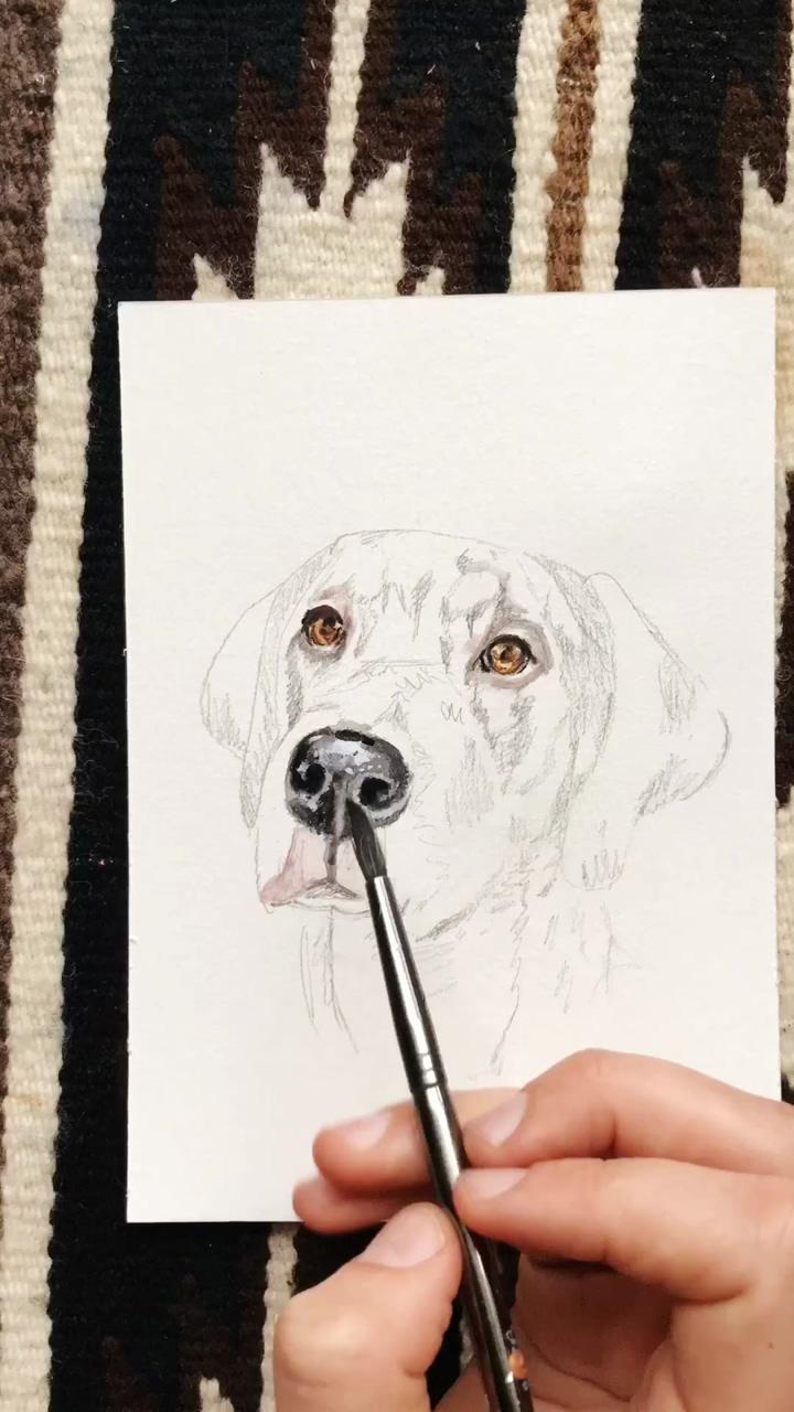 Watercolor dog nose time lapse | learn to draw a life like horse, coloured pencil tutorials
