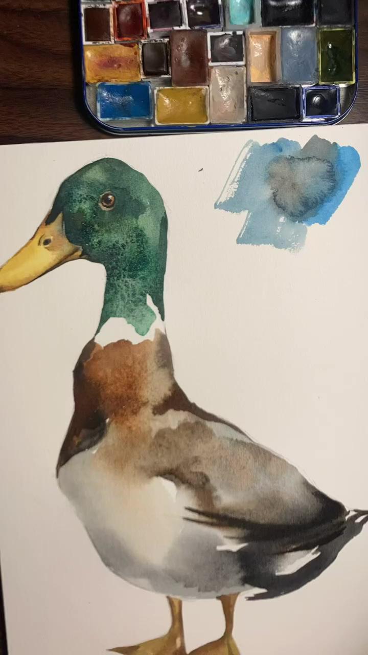 Watercolor duck painting | paint a moth with me
