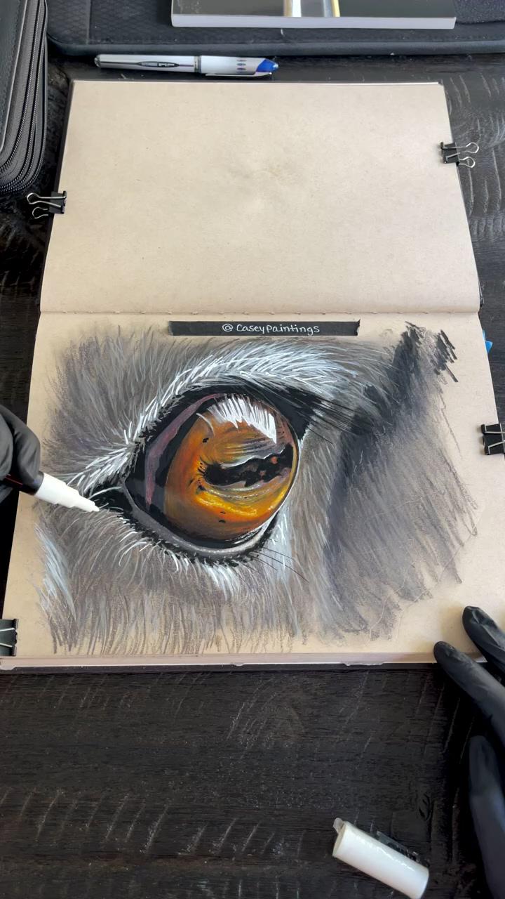 What kind of animal eye am i drawing | colored pencil drawing tutorial