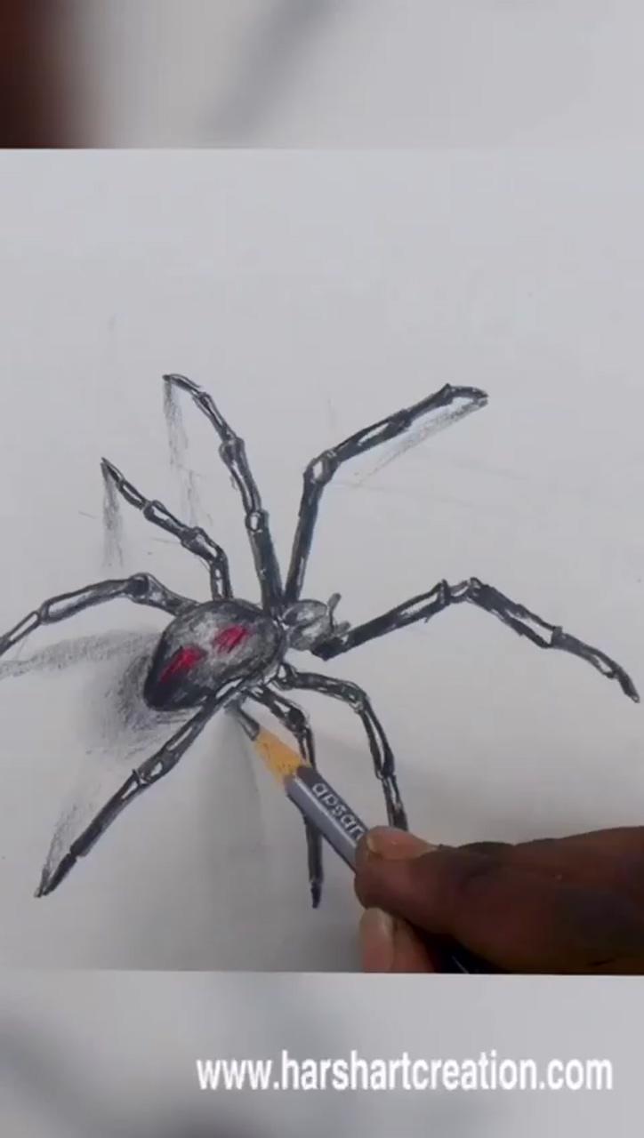 3d sketch | spider drawing