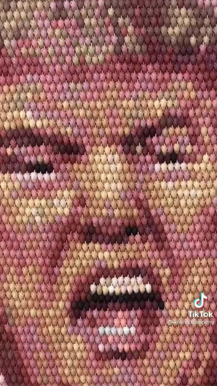 Almost 4000 middle fingers made into donald trump | one of my favourite photography tips