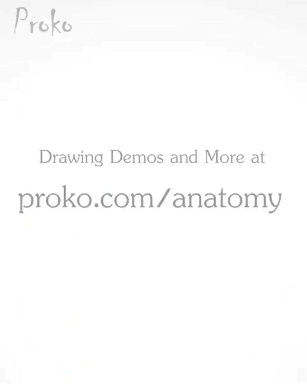 Anatomy for artists - drawing the arm | human anatomy for artists