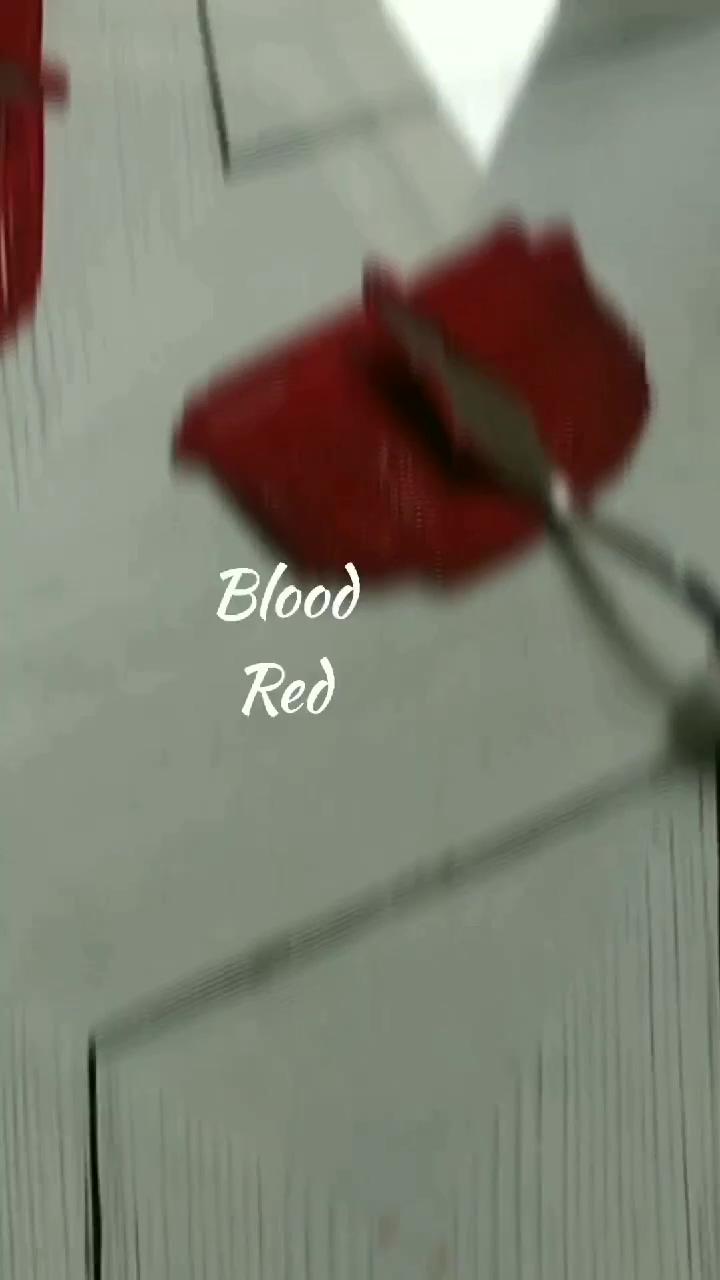 Blood red | magenta