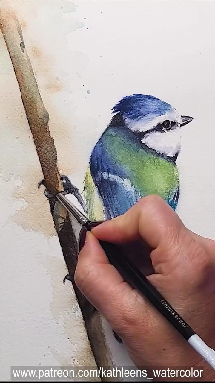 Blue tit - tutorial - watercolor painting | diy powder blue
