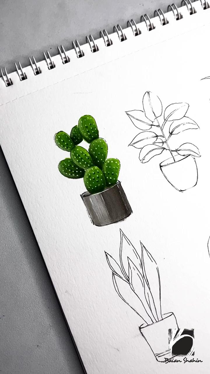 Cactus using markers; easy flower drawings