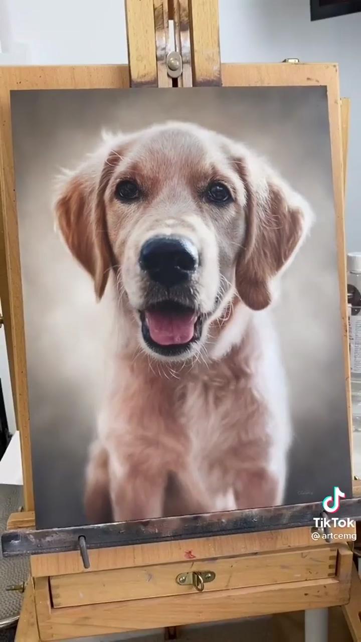 Dog portraits painting | animal paintings