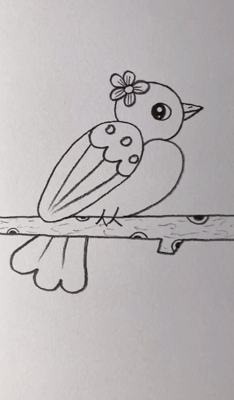 Draw bird easy; art drawings beautiful