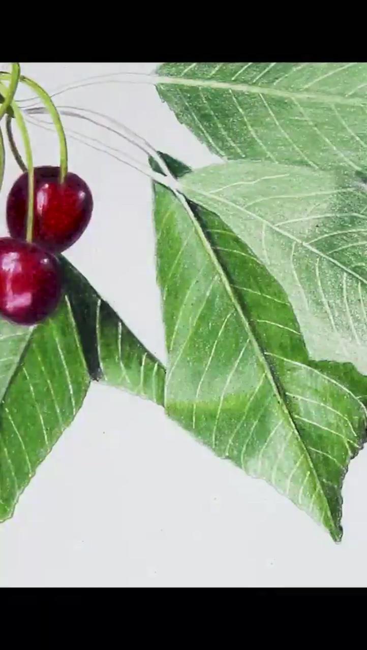 Drawing cherries with colored pencils; colored pencil lessons