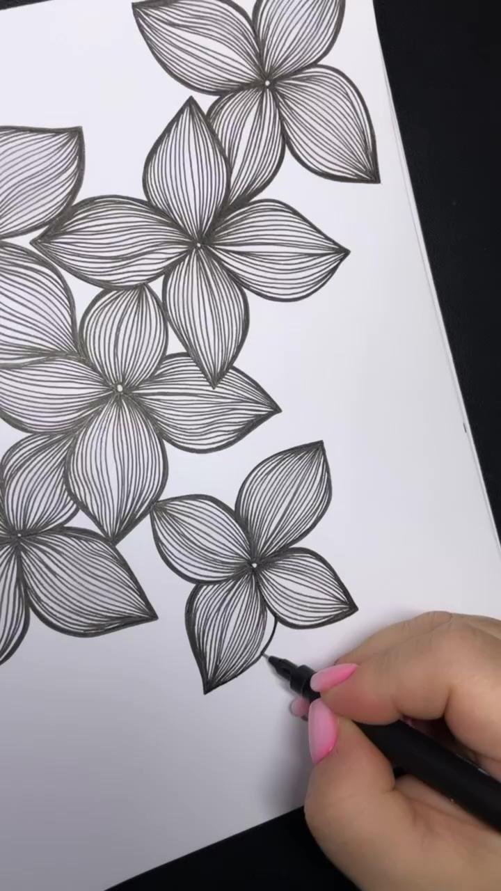 Drawing lined flowers | floral drawing