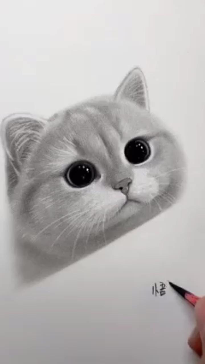 Easy cat drawing | amazing drawing art