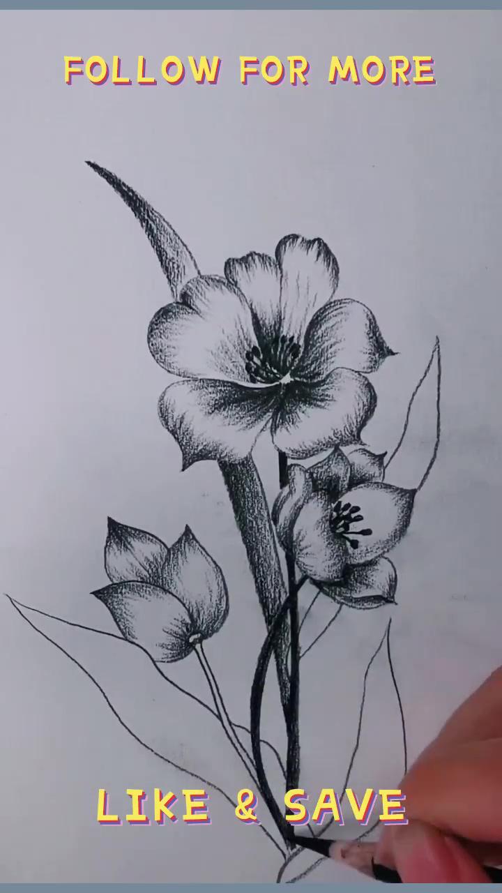 How to draw a flowers: beginner and advanced tips | daisy flower drawing