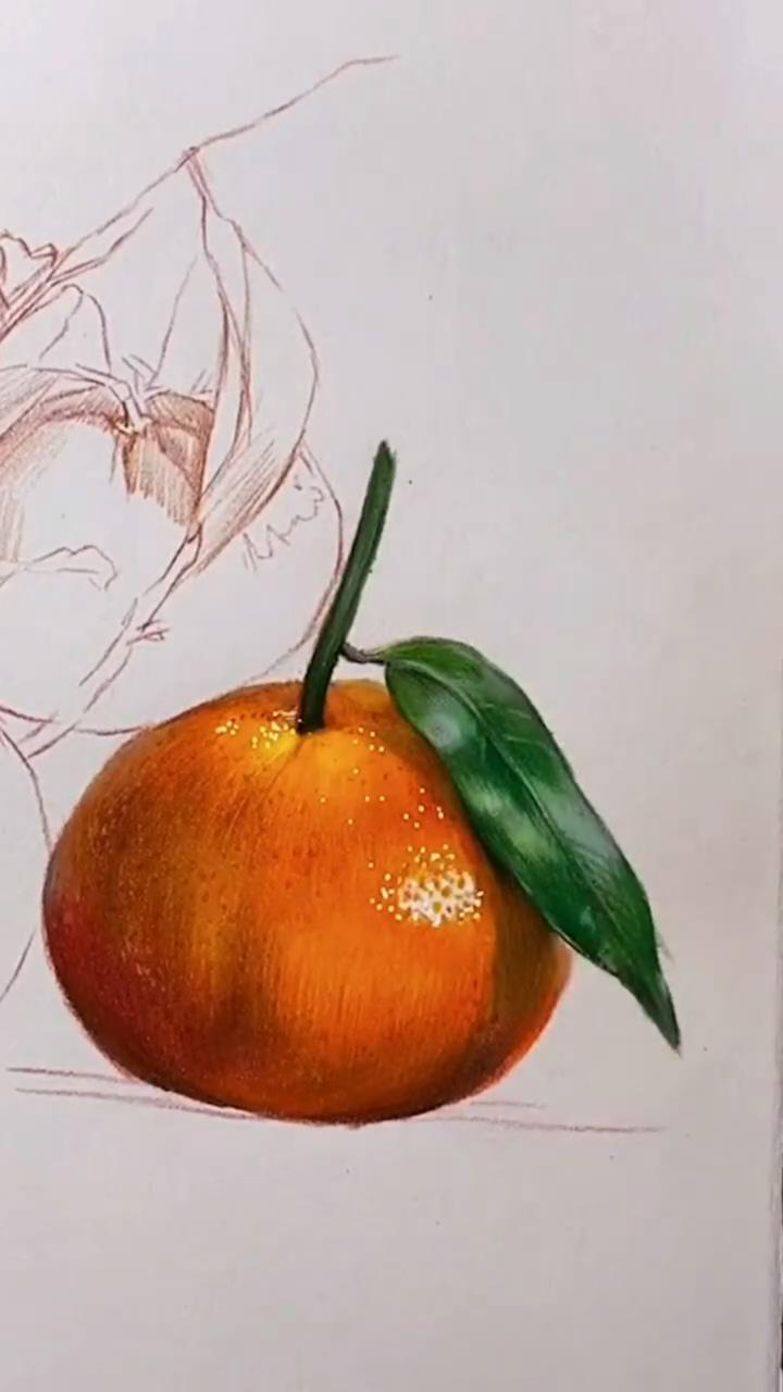 How to draw a orange by color pencil | realistic acrylic painting
