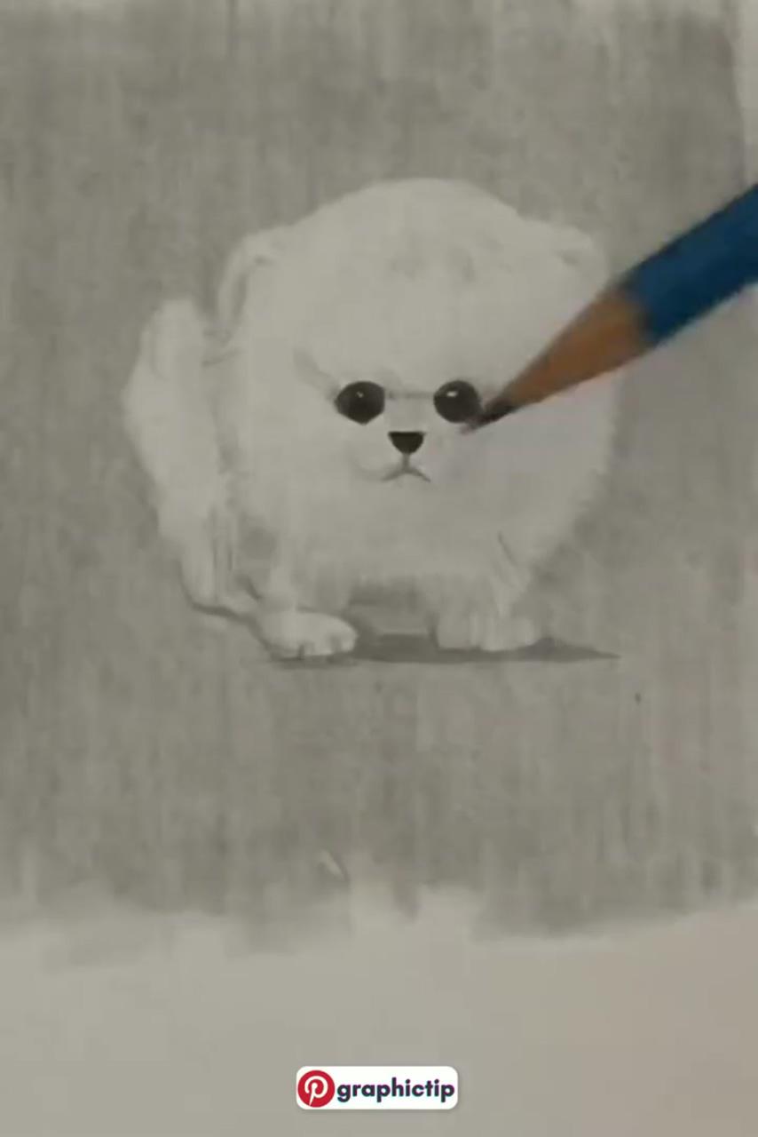 How to draw-cute pomeranian dog | diy crafts hacks