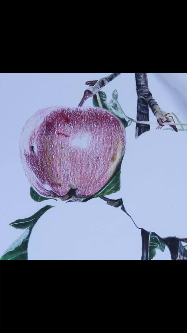 How to draw realistic apples with colored pencils | realistic berries painting with acrylics on canvas by vanishree art