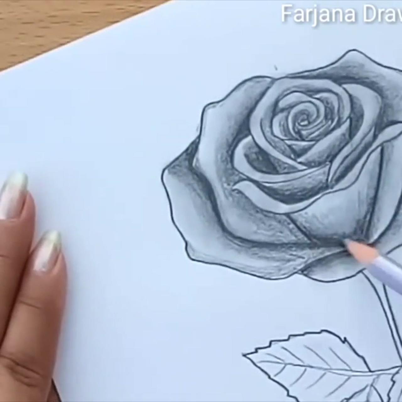 How to draw rose step by step video; easy love drawings