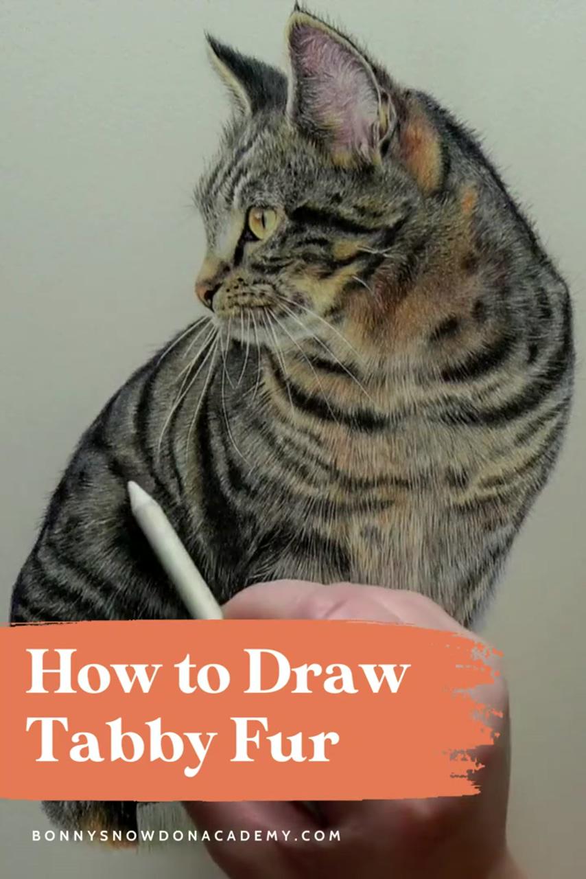 How to draw tabby fur, free tutorial | how to draw dogs in coloured pencil, drawing for beginners