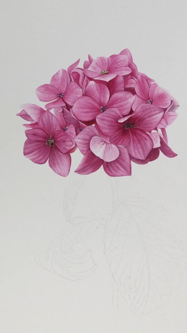 Hydrangea tutorial link in my bio | easy tulip flower painting