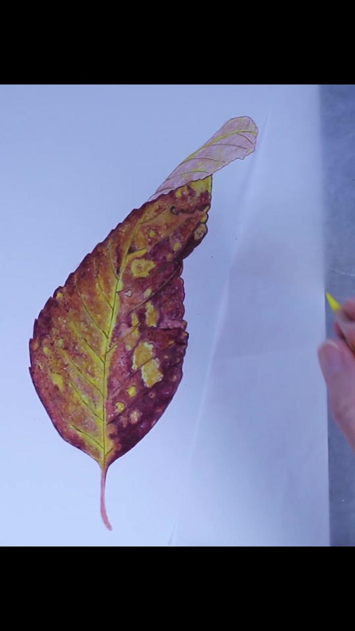 Learn to draw an autumn leaf | red tulip painting process