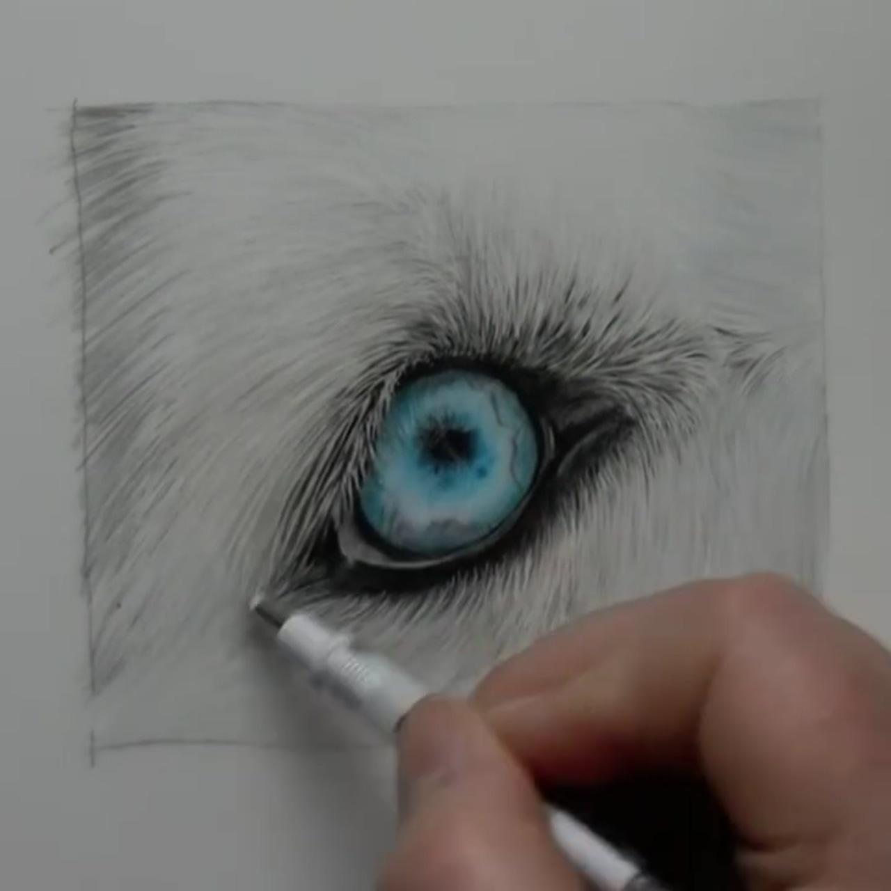 Learn to draw lifelike eyes in coloured pencil, bonny snowdon academy | colored pencil drawing techniques