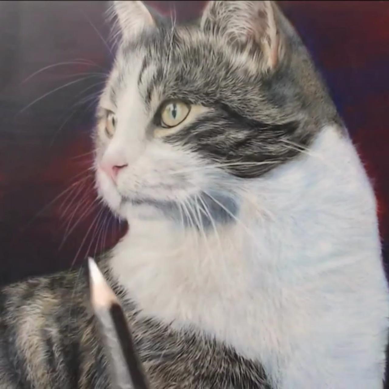 Learn to draw realistic cats in coloured pencil, art tutorials; colored pencil drawing tutorial