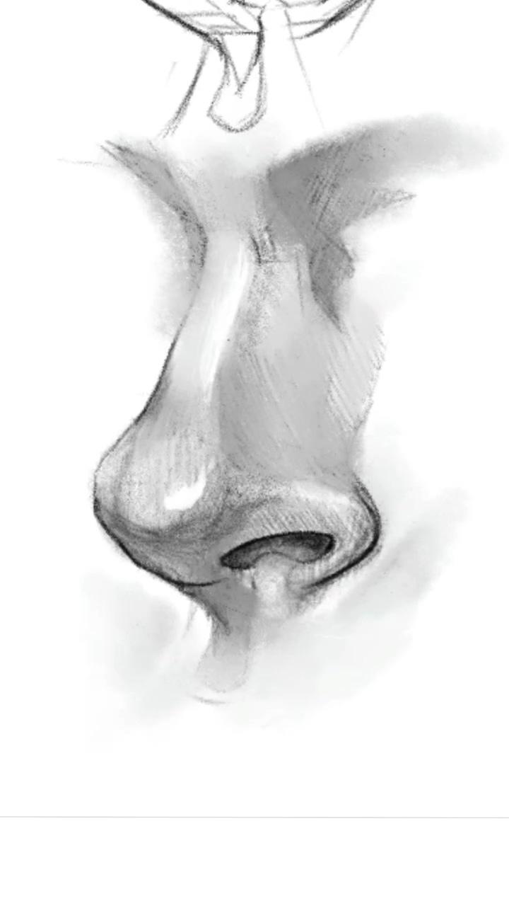 Let's draw a nose; anatomy sketches