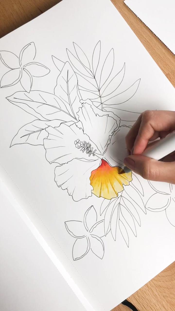 Marker hibiscus illustration; painting flowers tutorial