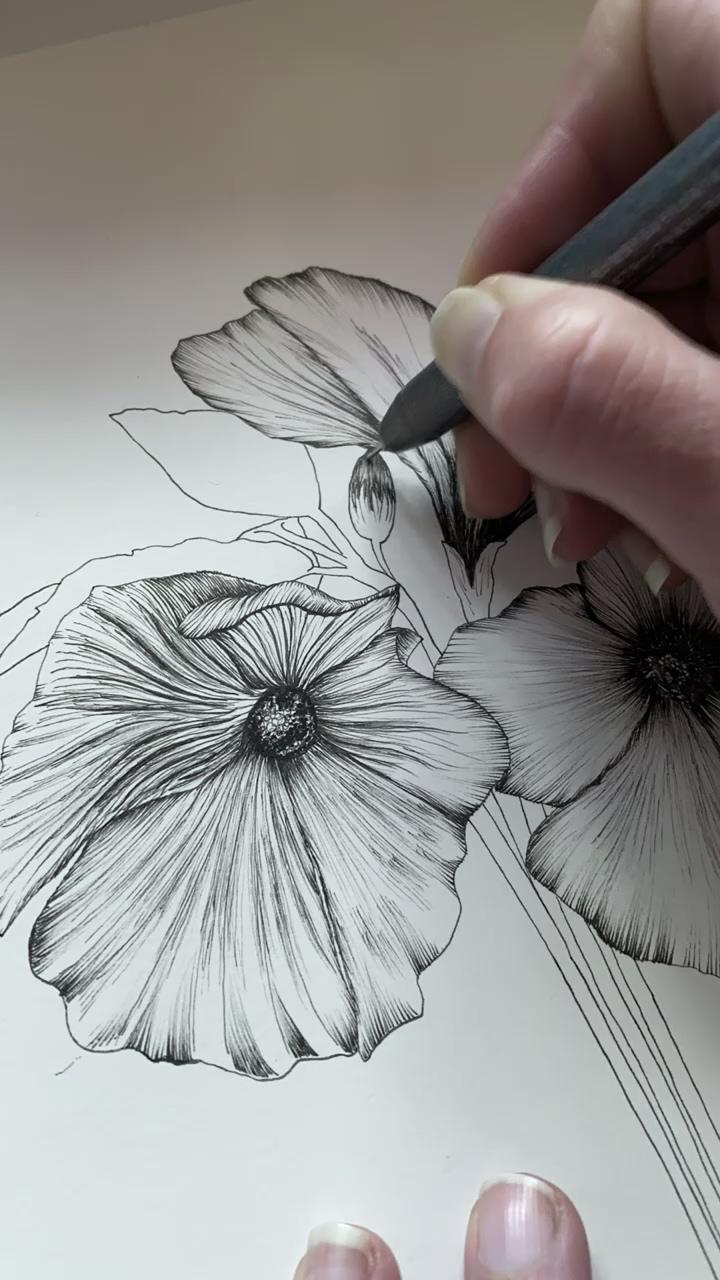 Native australian hibiscus drawing; awesome artist doing satisfying craft, creative ideas that are at another level