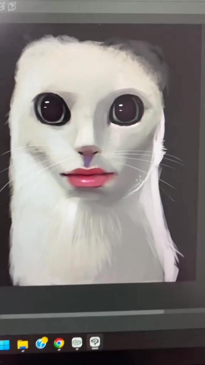 O^0how to draw cat cat tutorial drawing^0o | cat drawing