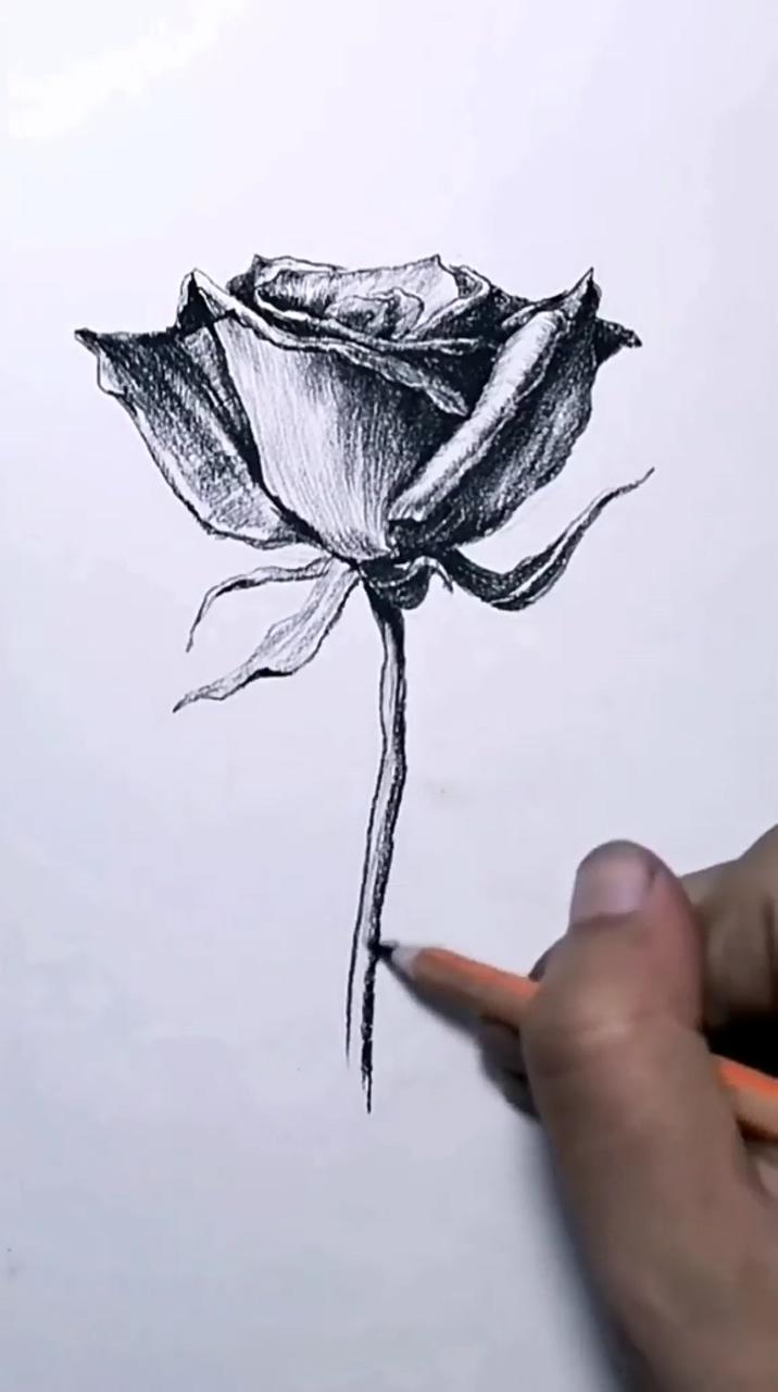 Pink pencil drawing | cool pencil drawings