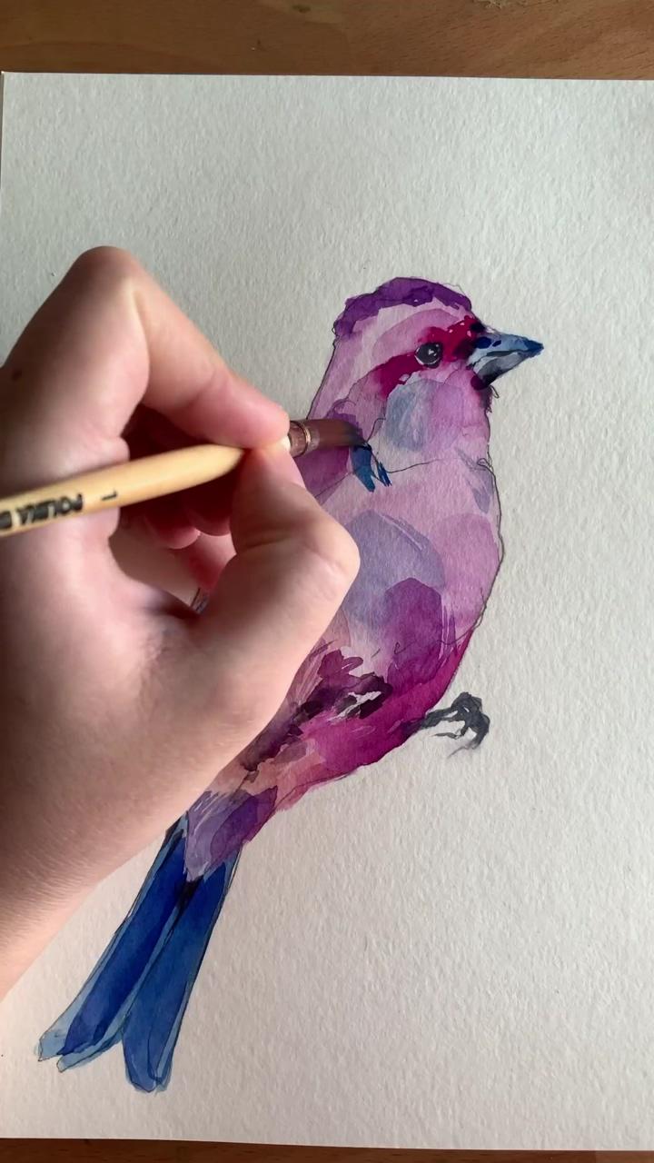 Purple finch | bird watercolor paintings