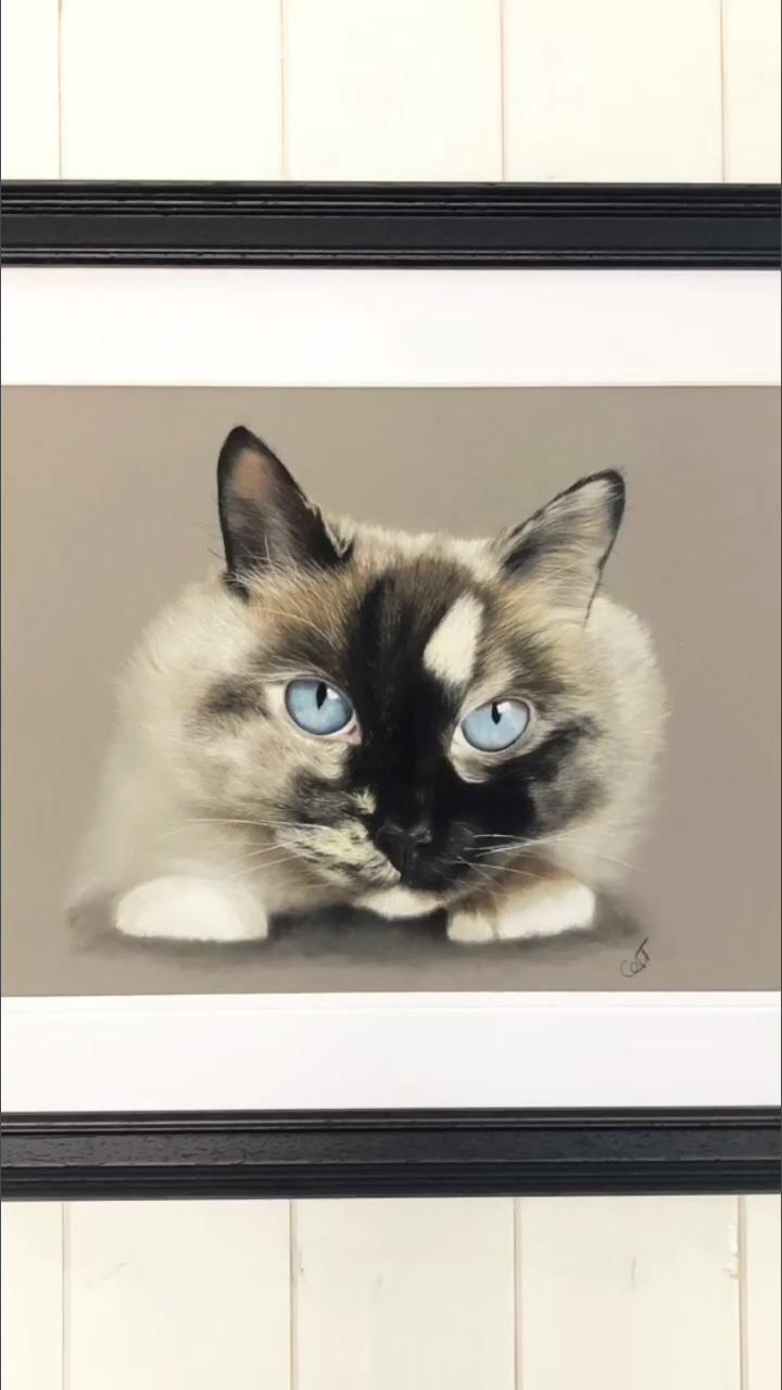 Ragdoll cat art; outstanding hyperrealism