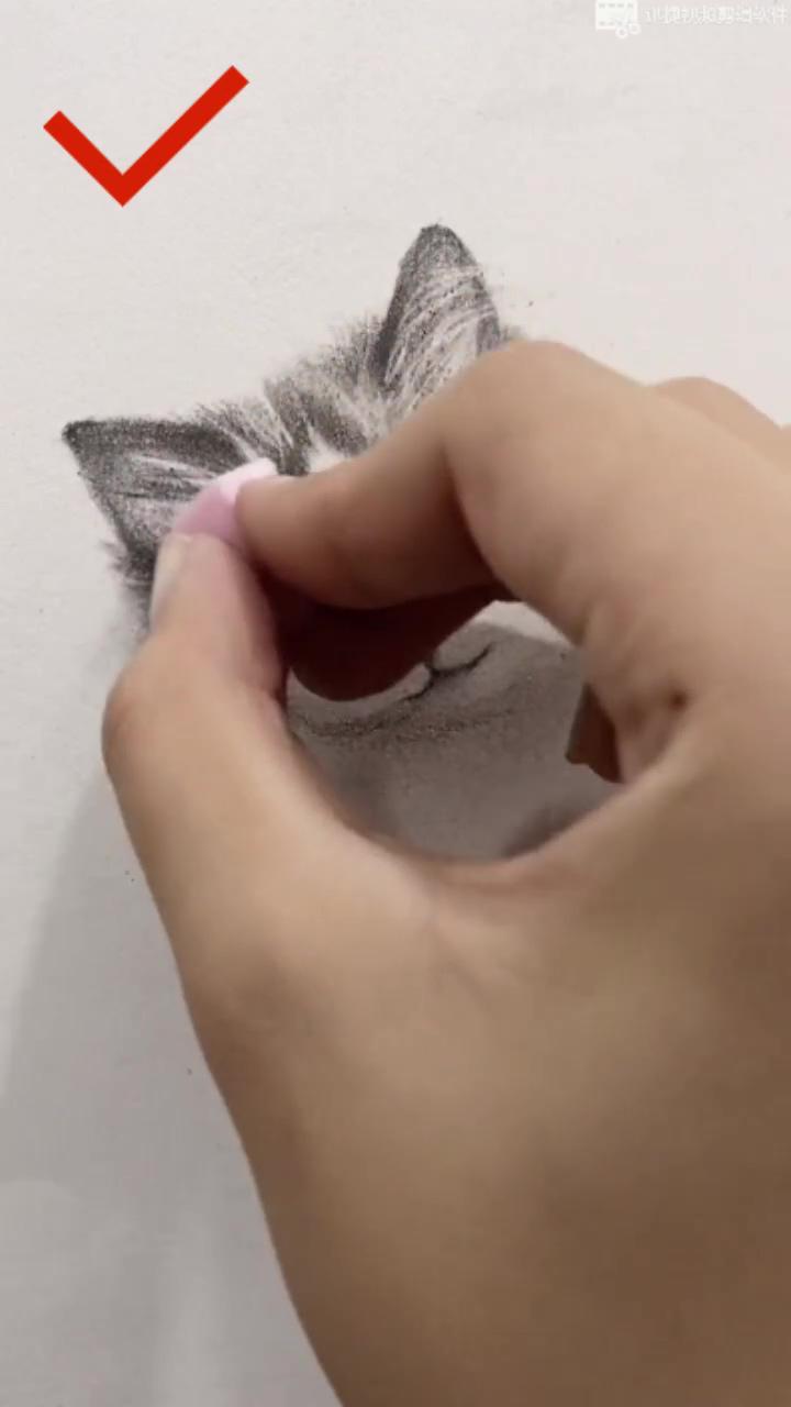 The correct way to draw a cat-suitable for beginners of sketching; beauty art drawings