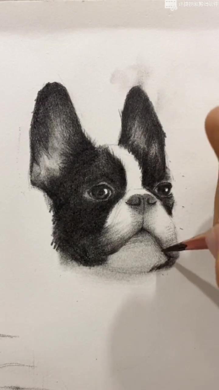 The correct way to draw a dog-suitable for beginners in sketching; drawing videos