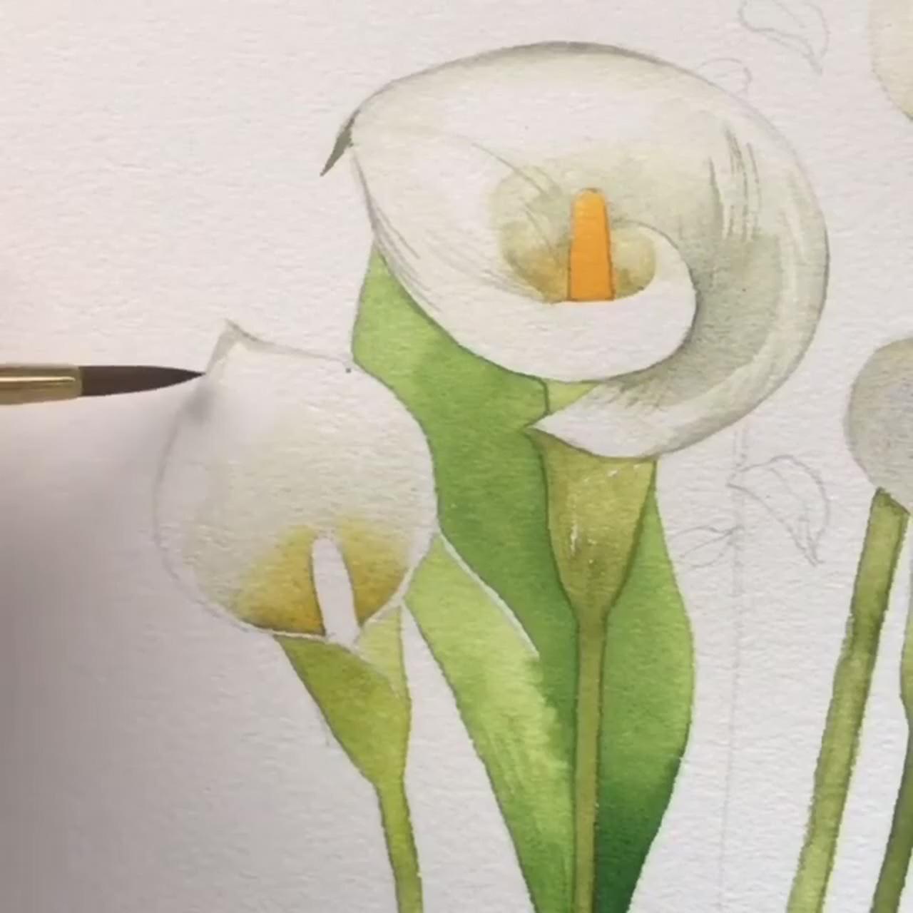 Watercolor flower; watercolor paintings for beginners