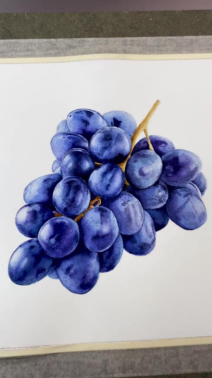 Watercolor painting of grapes. check it out the video in youtube channel : ramika studio | realistic acrylic painting