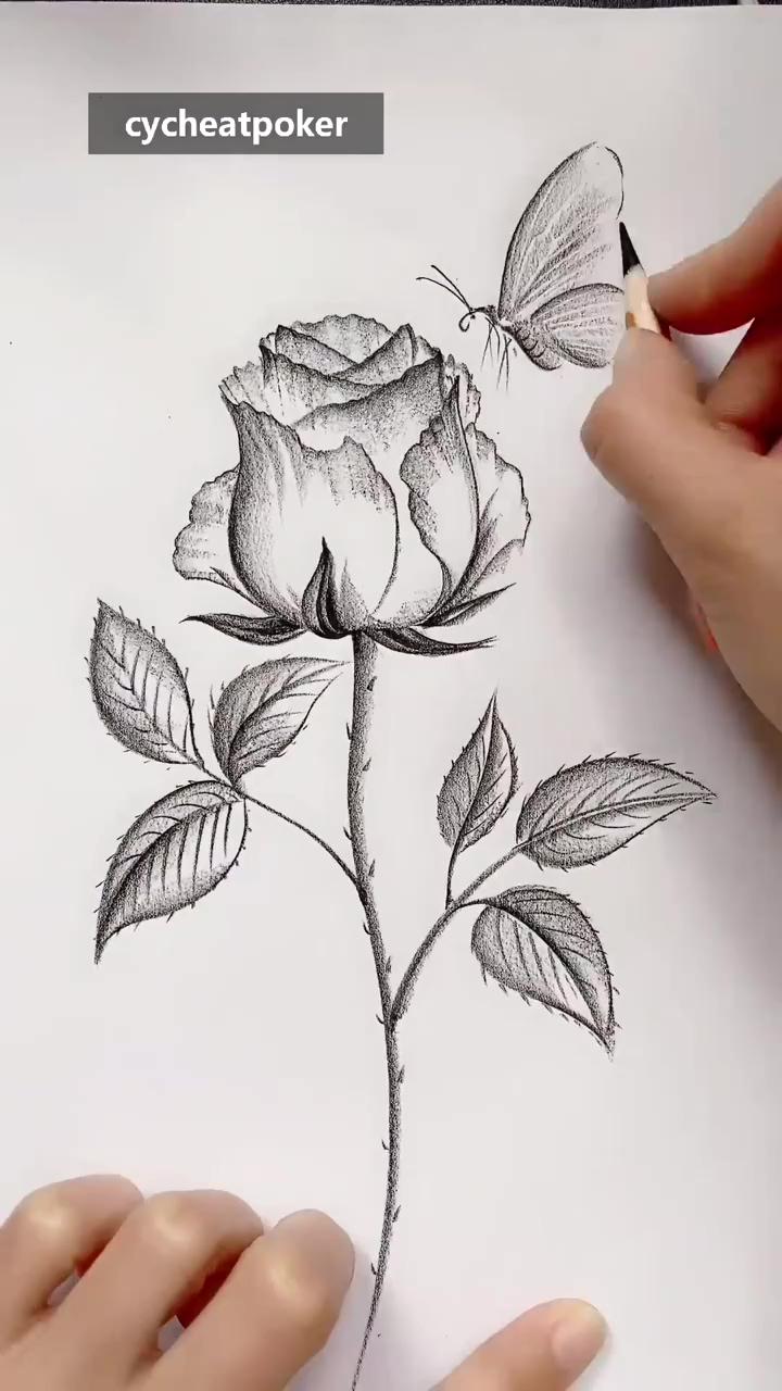Zero basics painting, rose, butterfly; how to draw flower step by step pencil drawing tutorial