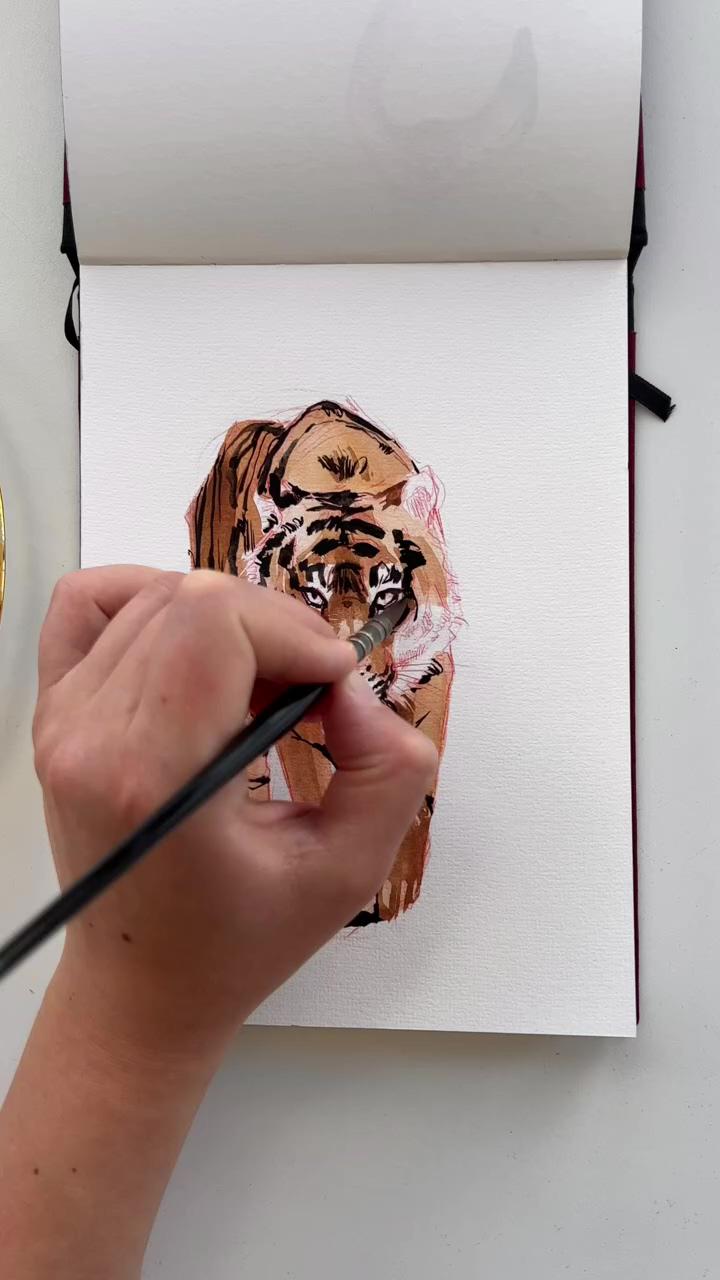A quick tiger sketch by polina bright; painting art lesson