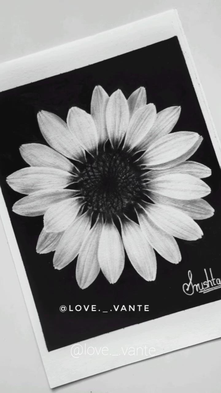 Charcoal sketch of sunflower; incredible art