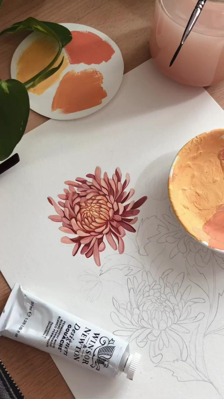 Chrysanthemum flower illustration; how to paint a two colored flower