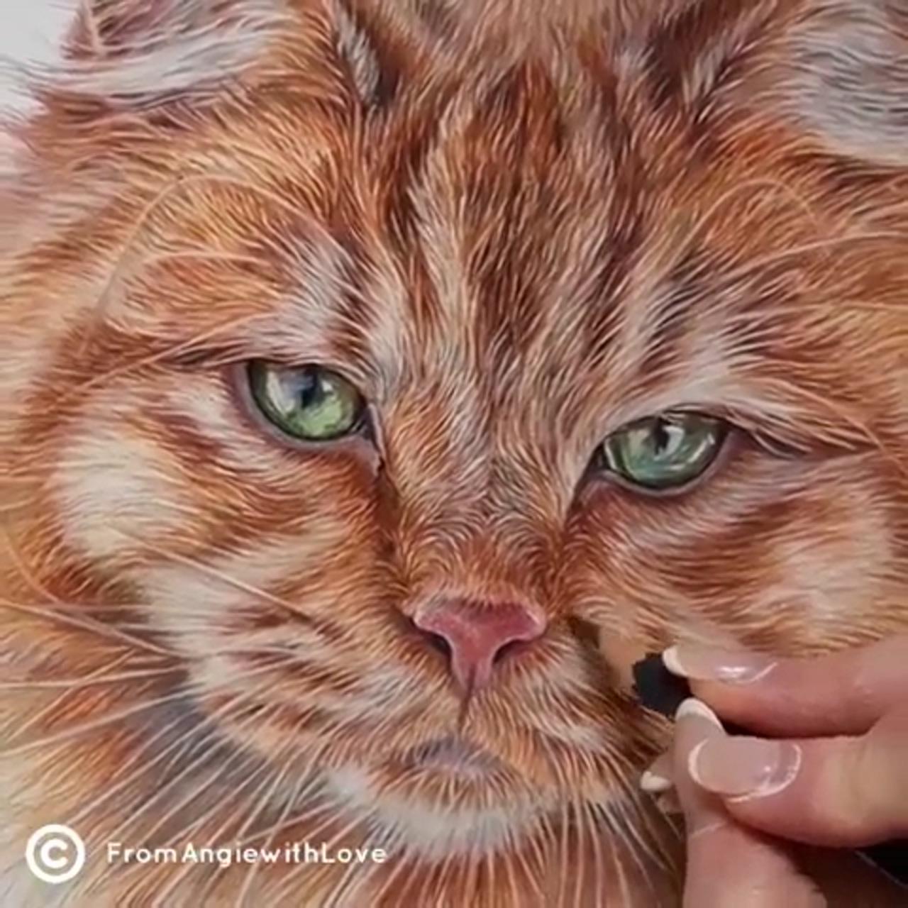 Colored drawing cat drawing; animals artwork