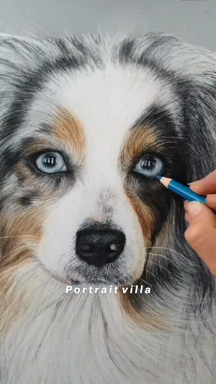 Dog painting; dog canvas painting