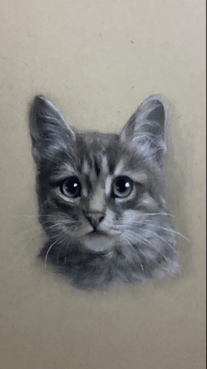 Draw a cat with charcoal and pencils | draw