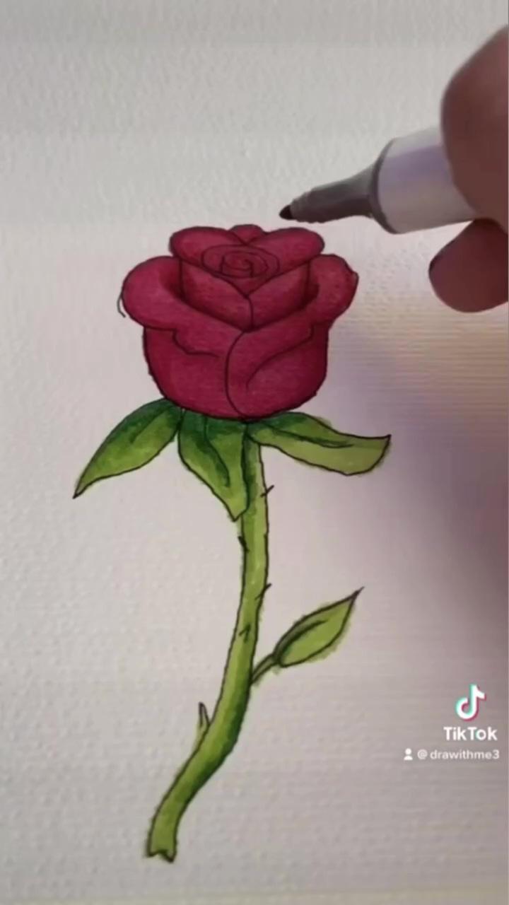 Easy way to draw a rose; sketch thai elephant in watercolor